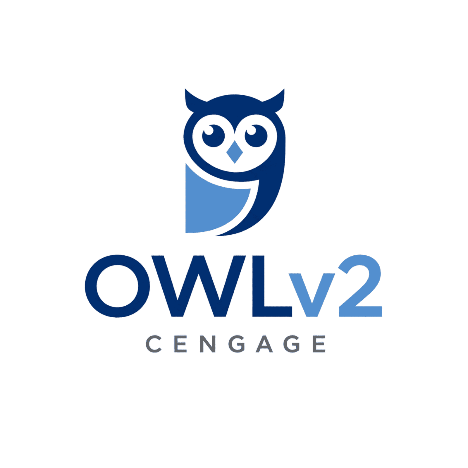 OWLv2 Help